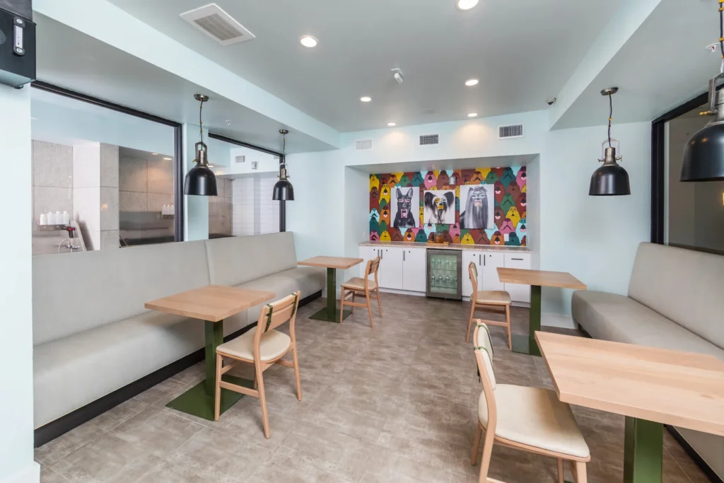 Fifteen 15 Lamar Dog Lounge